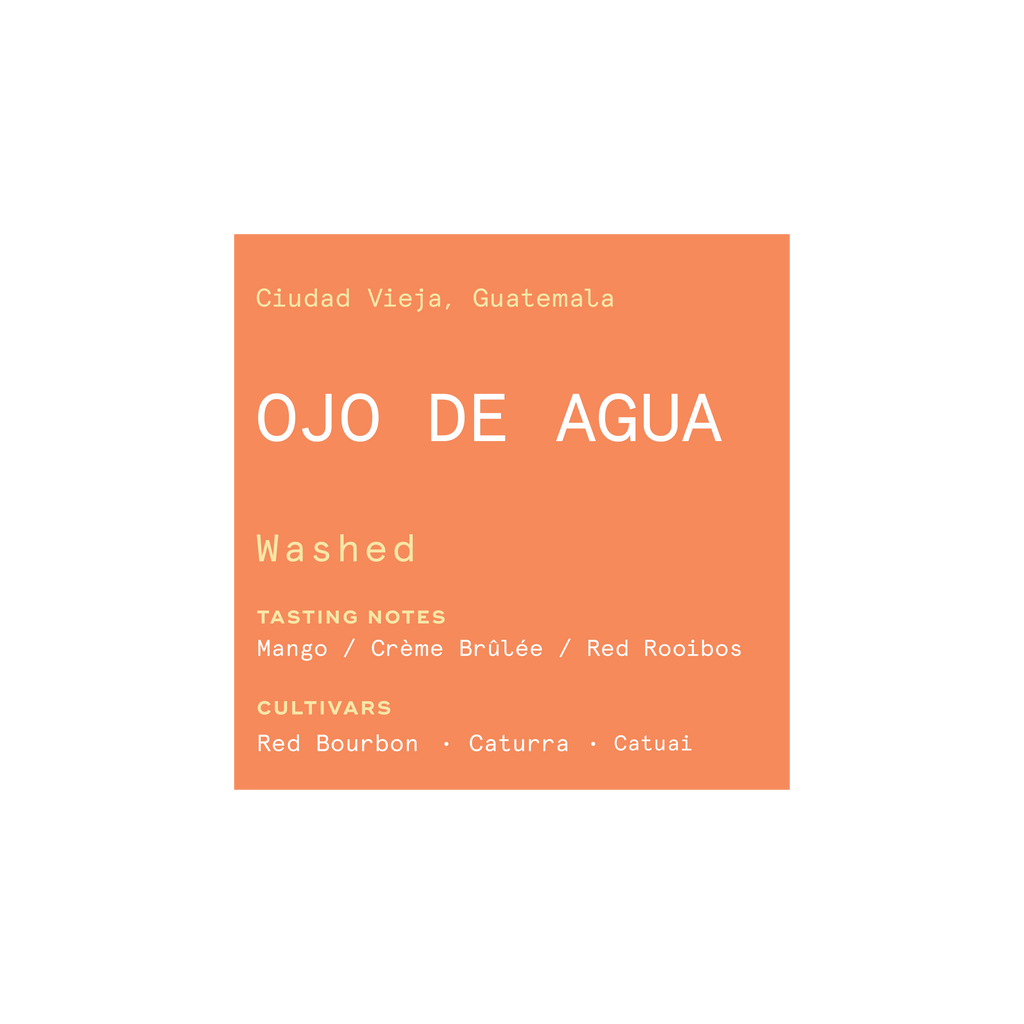 Ojo De Agua